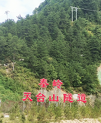 秦嶺天臺山隧道項目如何提高功率因數